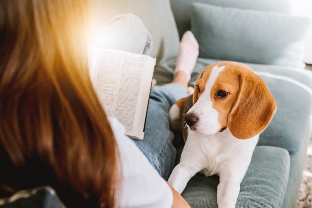 自宅で犬とくつろぎながら学習する様子