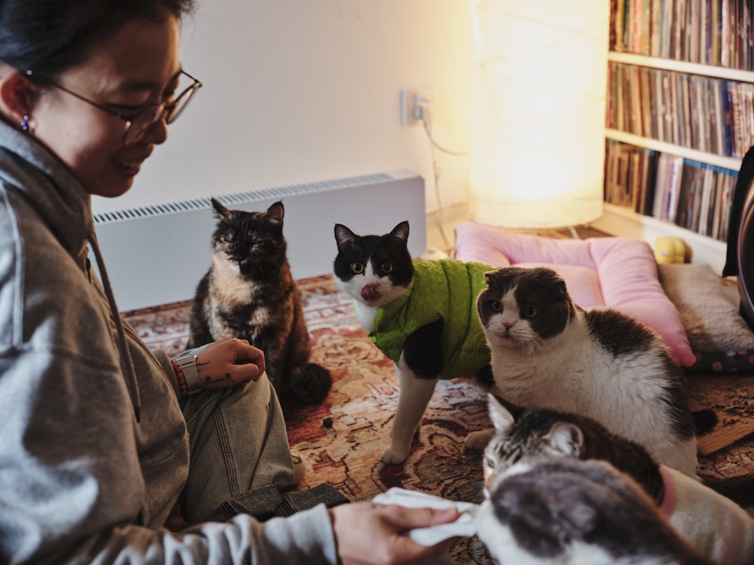 飼い主に寄り添う猫