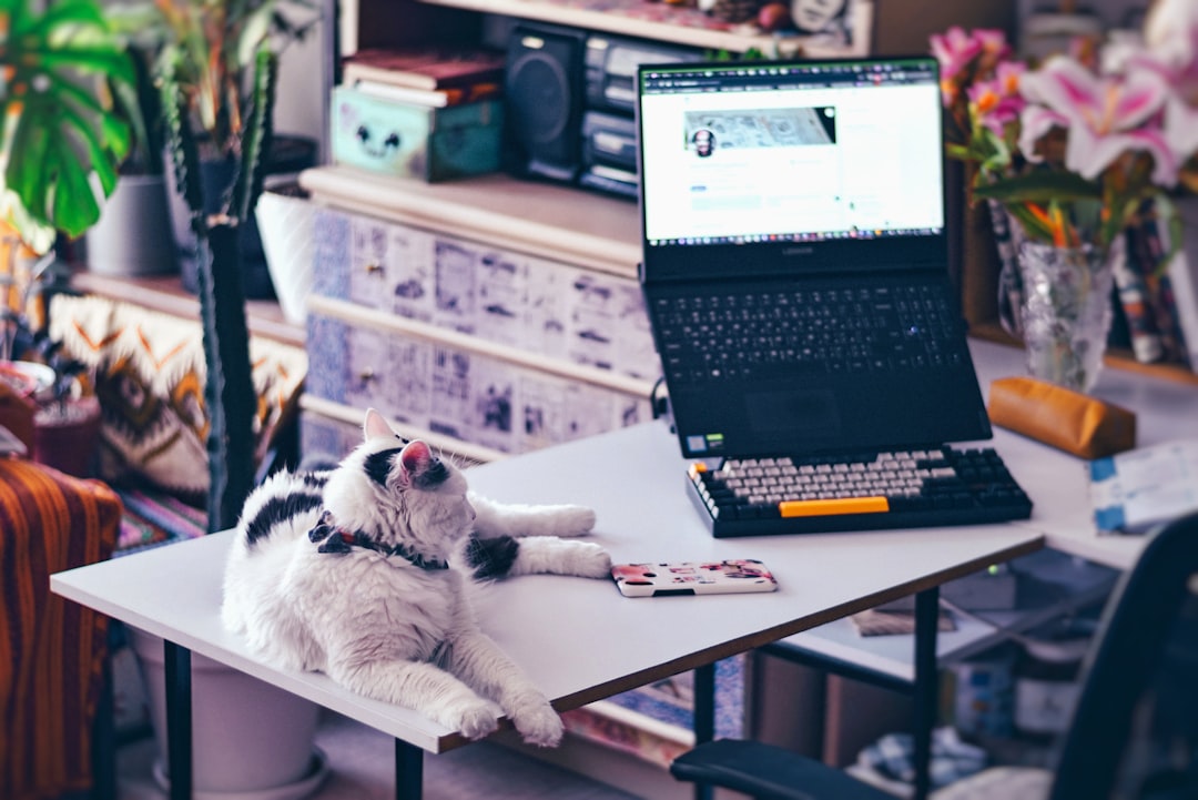 猫と一緒にパソコンで学習する様子
