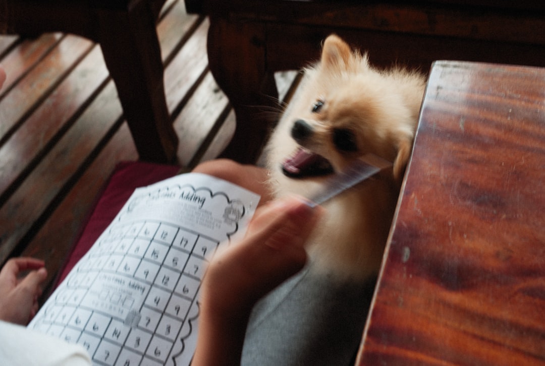 自宅で学びながら犬のケアを練習する様子
