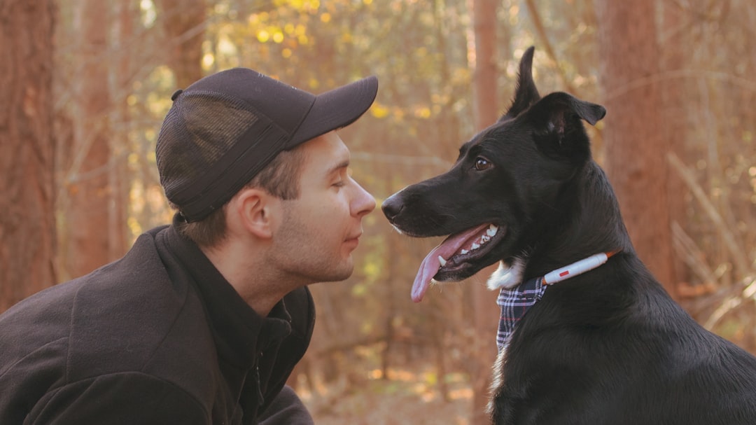 プロのドッグトレーナーと犬