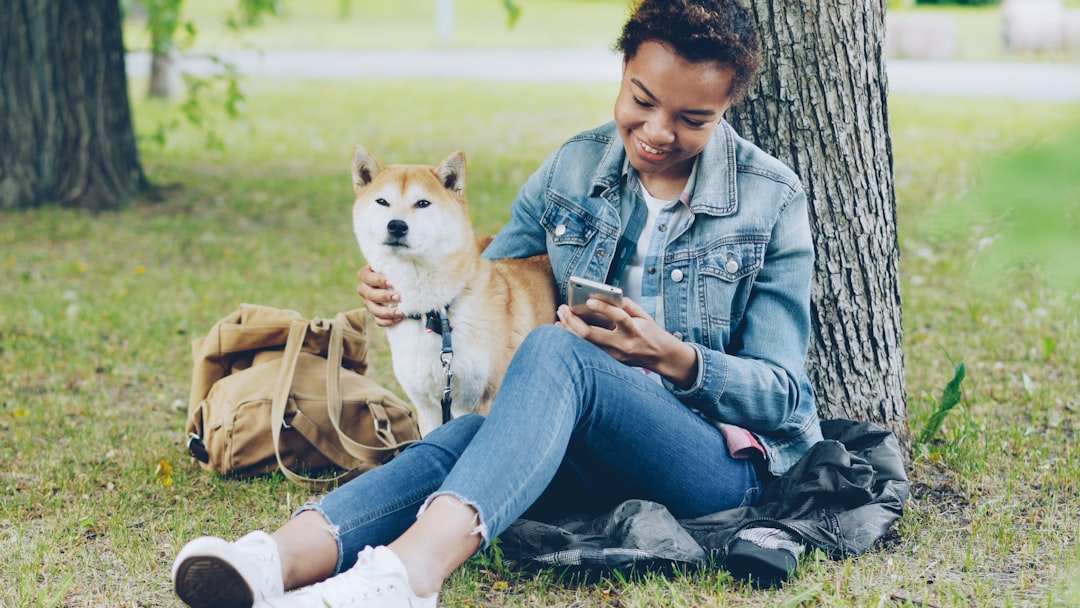 愛犬のそばでスマホで学ぶ飼い主