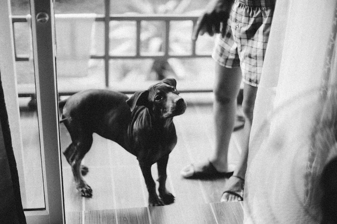 愛犬のそばで独学する様子