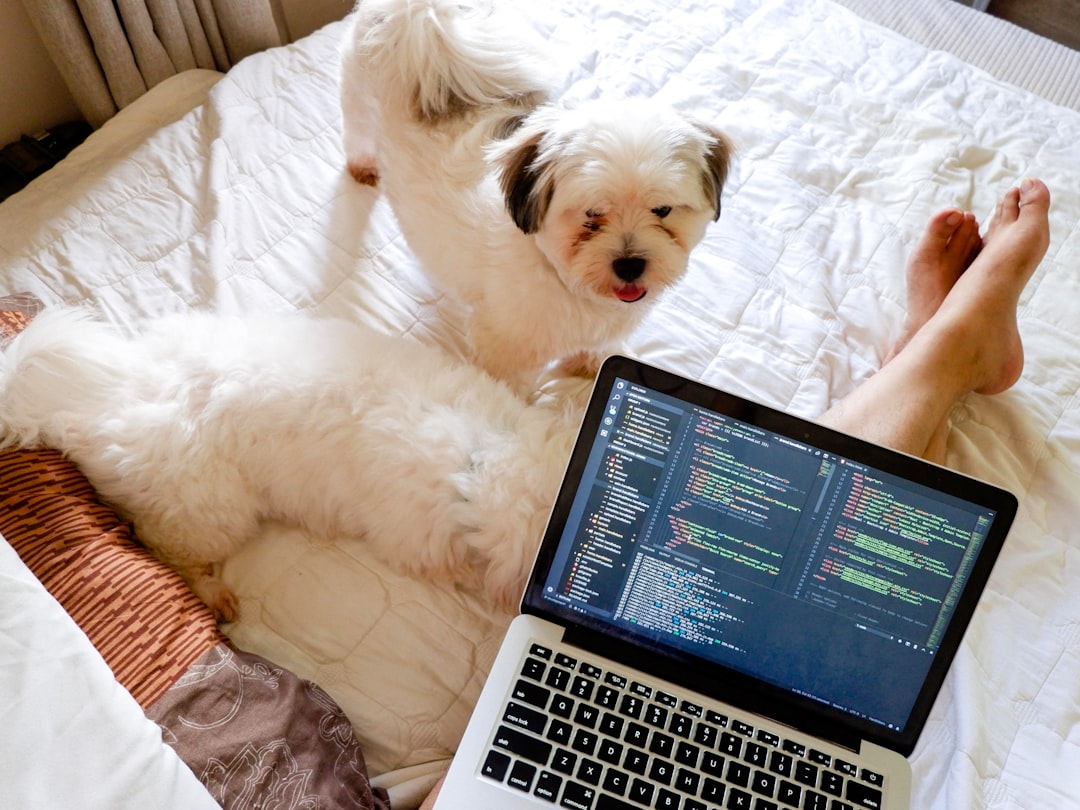 愛犬のそばで学ぶ様子