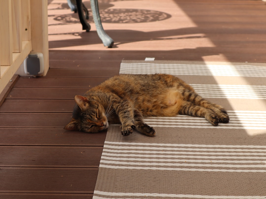 愛玩動物飼養管理士の費用と申し込み方法【2026】