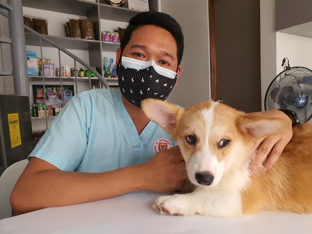 動物病院で診療を補助する様子
