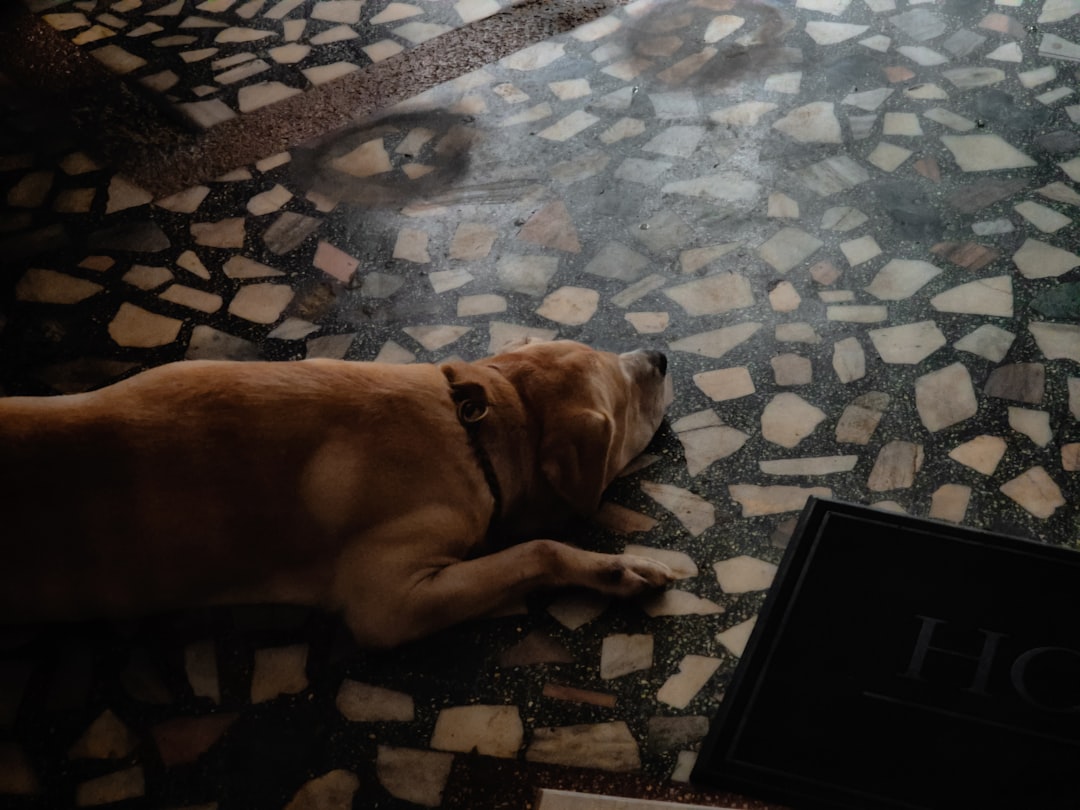 資料を読む人のそばで過ごす犬